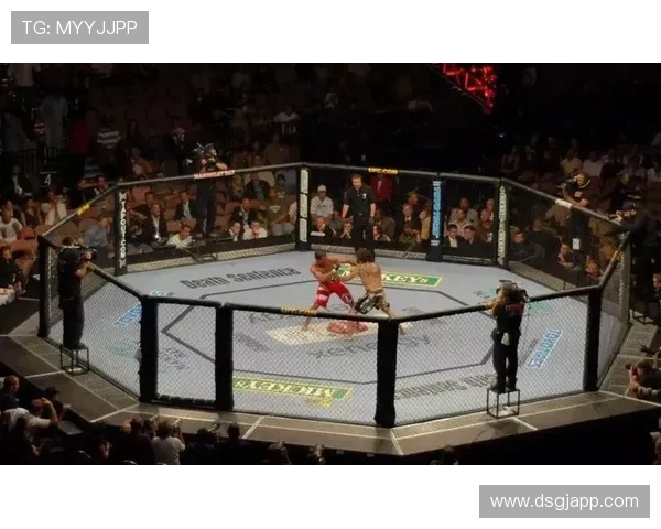 UFC终极格斗冠军赛直播地址及观赛指南